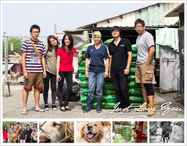 【台南婚紗】徐春水流浪動物之家-越來越多的流浪狗..